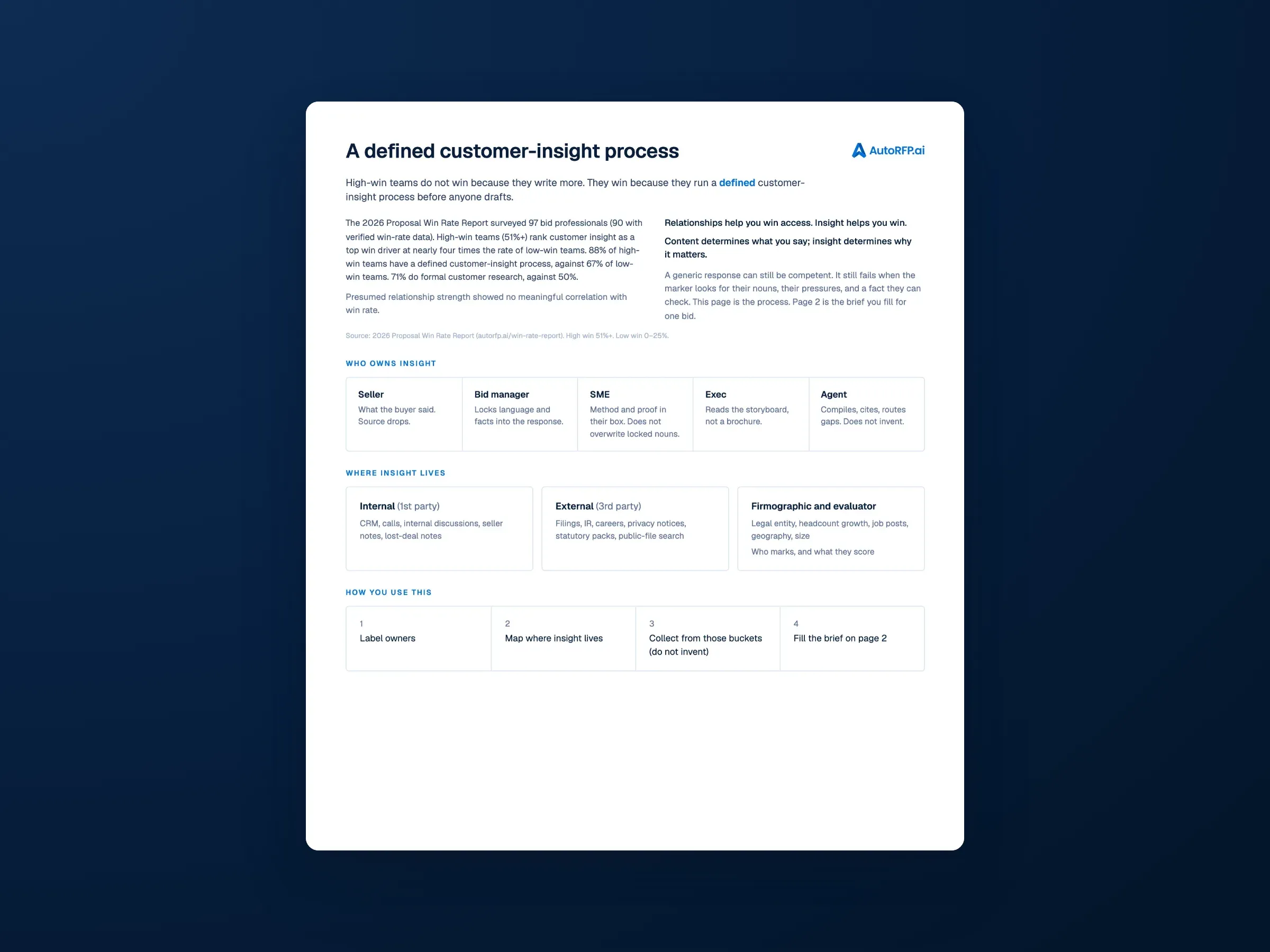 Customer insight brief preview
